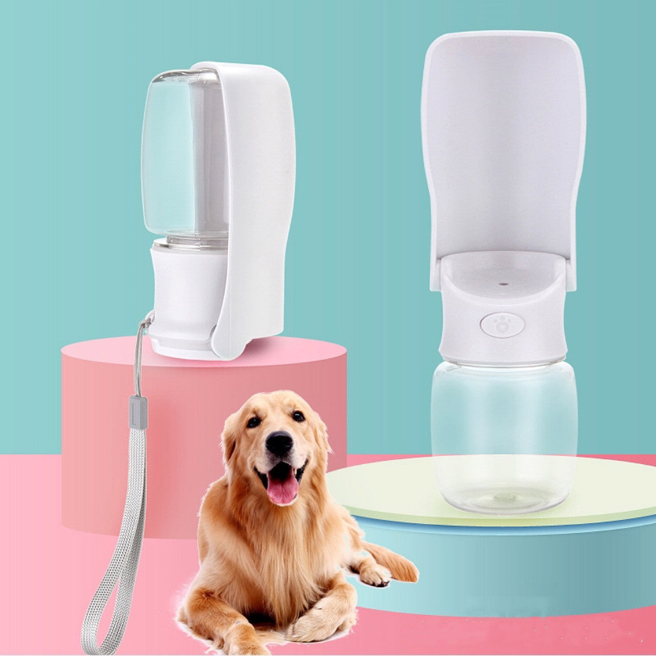 Dog water bottle