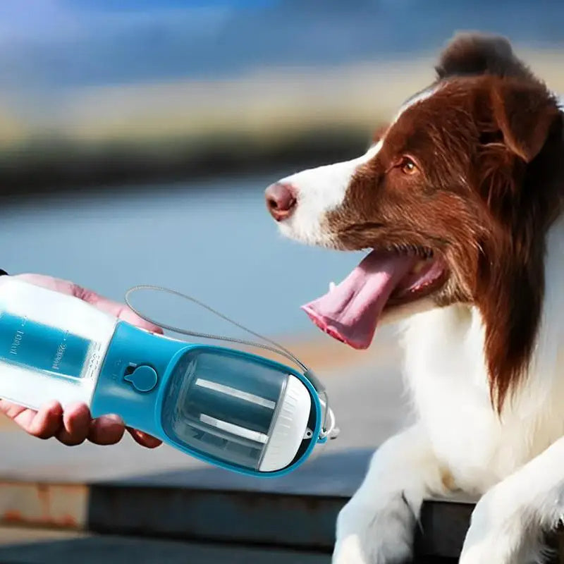 Portable 3-in-1 water bottle for dogs with food container and waste bag